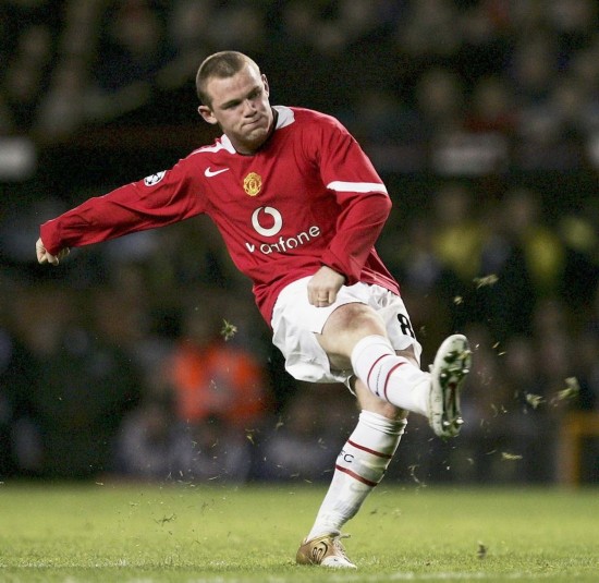 迷和专家的 迷和专家的